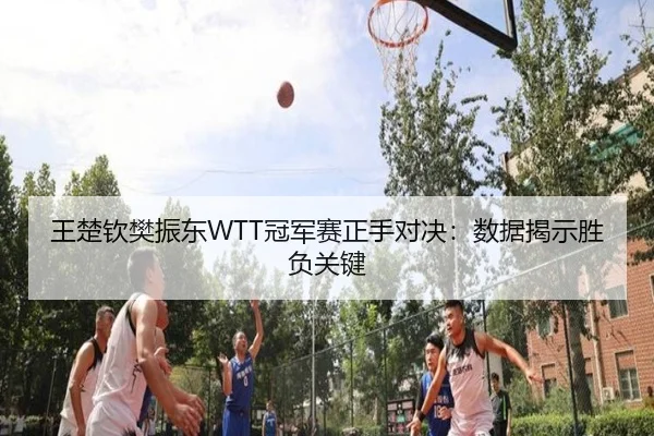 王楚钦樊振东WTT冠军赛正手对决：数据揭示胜负关键