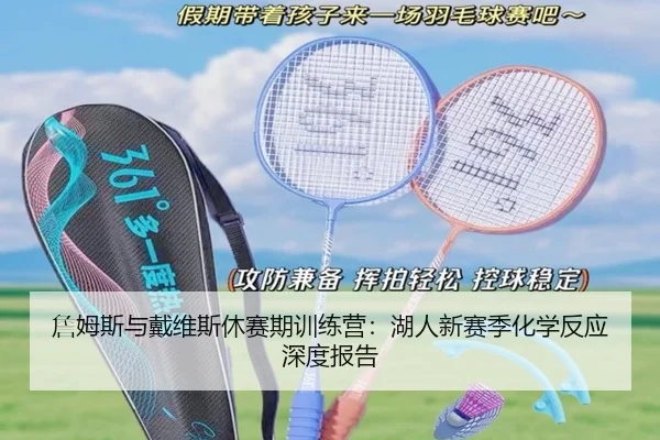 詹姆斯与戴维斯休赛期训练营：湖人新赛季化学反应深度报告